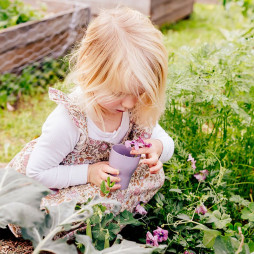 Legetøjsservicesæt i opvaskestativ, 19 dele