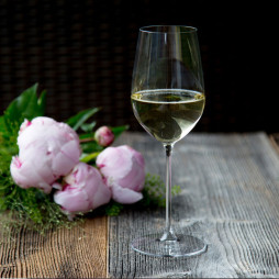 Riesling/Zinfandel Wine Glass 2 pcs