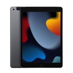 10.2-inch iPad Wi-Fi + Cellular 256GB