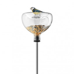 Bird feeder in glass