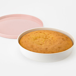 PICNIC cake pan with lid