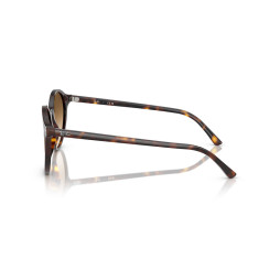 Sunglasses Bernard Havana