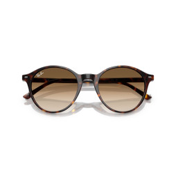 Sunglasses Bernard Havana