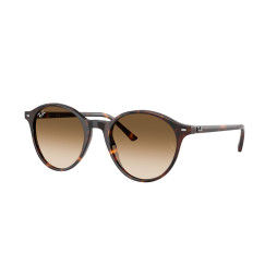 Sunglasses Bernard Havana