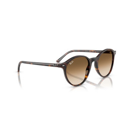 Sunglasses Bernard Havana