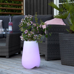 Outdoor Decoration Twilights