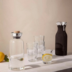 Refrigerator Carafe