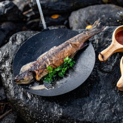 Charcoal pan foldable