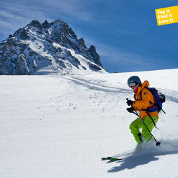 Tagbird + Mounting Case