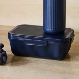 Tina lunch box Blue