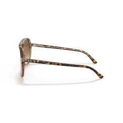 Bill Havana On Transparent Brown