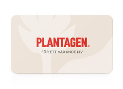 Plantagen